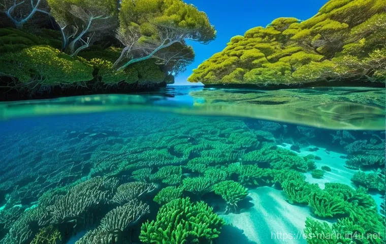 해양 보호구역 - **Prompt 1: Vibrant Underwater Oasis in a Spanish Marine Reserve**
    "A breathtakingly vibrant und...
