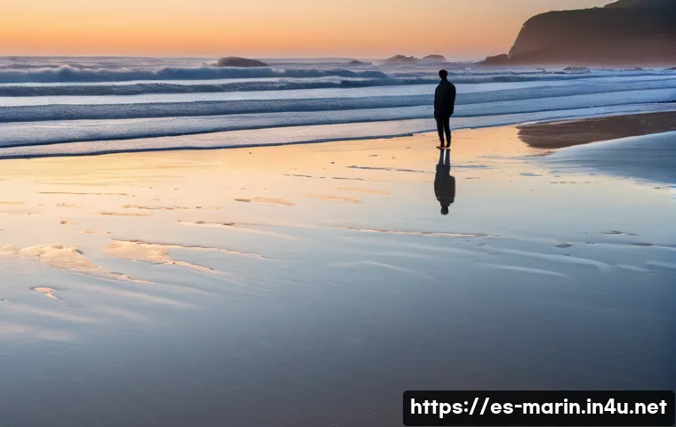 해양 파동 및 조석 - **"The Constant Pulse of the Ocean: A Personal Ritual"**
A wide shot of a serene, beautiful Span...